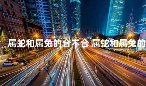 属蛇和属兔的合不合 属蛇和属兔的合财吗